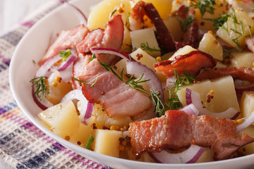 potato salad with bacon on a plate macro. horizontal