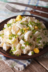 Potato salad with chives and egg close-up on a plate. Vertical
