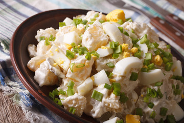 American Potato salad with chives and egg close-up. horizontal
