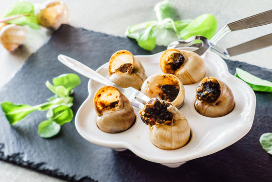 snails as gourmet food