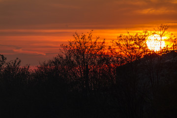 Fototapeta premium sunset in winter