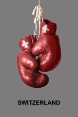 Boxing Gloves in the Color of Switzerland