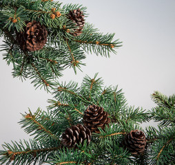 Christmas composition with Christmas tree and decorations.