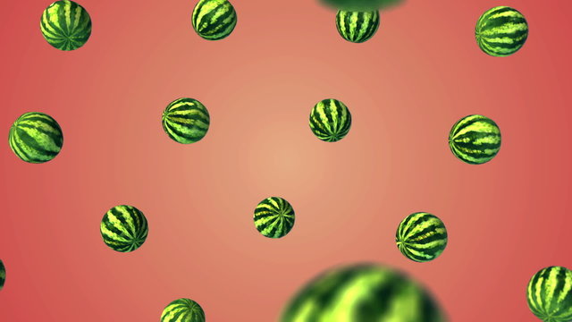 Flying watermelon on white gradient background. 