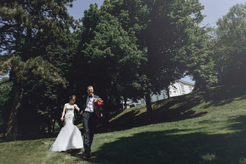 gorgeous happy luxury brunette bride and elegant stylish groom w