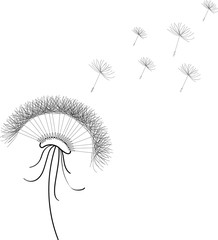 Black and white dandelion on a transparent background