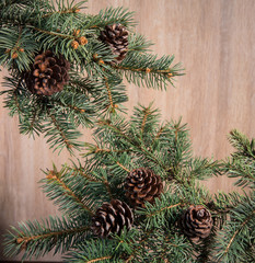 Composition with Christmas tree and Christmas decoration balls,