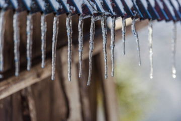 Icicles hooked on the roof