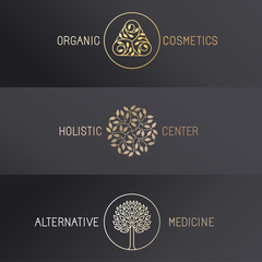 Vector set of logo design templates
