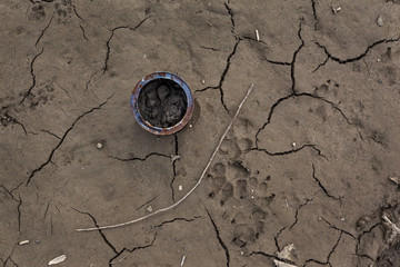 Animal footprints in dried mud 02