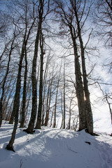 Italian winter landscape in mountain
