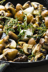 Pilzpfanne mit Knolauch und Thymian