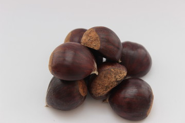 Castanea Sativa Mill