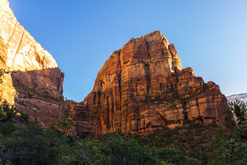 Red rocks in Zion National Park, USA