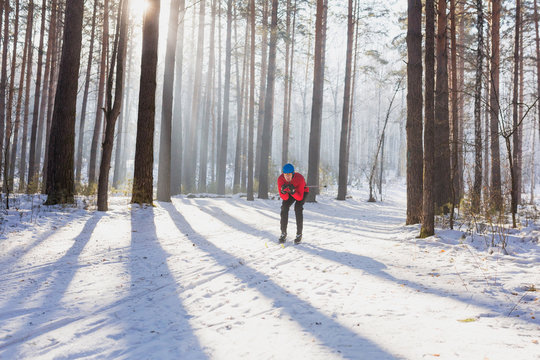 Cross-country skiers in red jacket in the forest