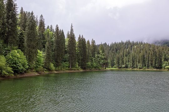 Mountain forest lake with a stormy sky