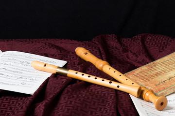 Recorder and music notes
