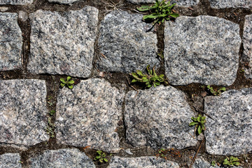 The texture of the stone; texture track; the texture of rough stone; texture of granite