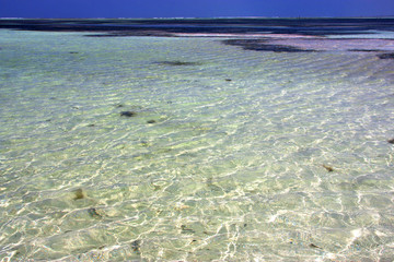 africa coastline froth foam   lagoon relax    zanzibar