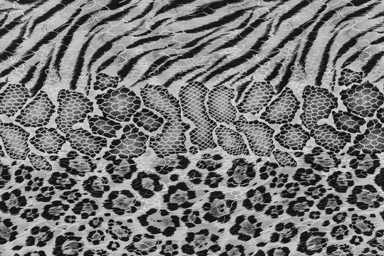 texture of print fabric stripes tiger and snake leather