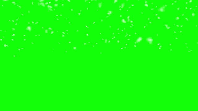 Realistic snow falling in front of green screen chroma key background