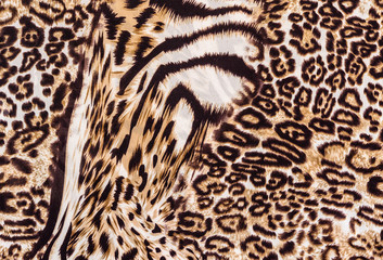 texture of print fabric striped leopard