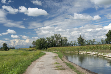 Fototapeta na wymiar Country landscape near Morimondo (Milan)