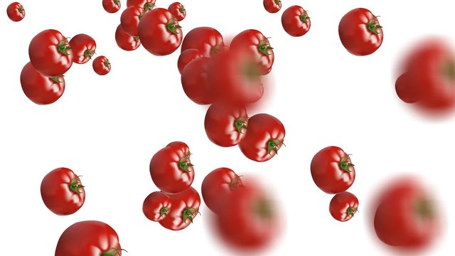 Animazione Pomodori