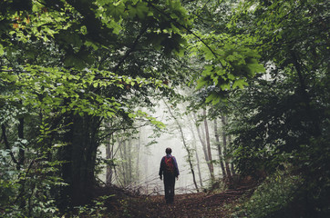 Obraz premium man silhouette on forest path