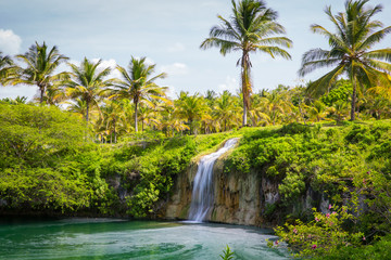 Falls in park