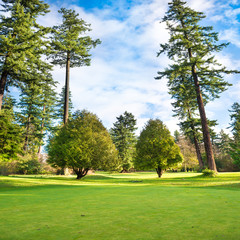 Green lawn with trees in park © Pavlo Vakhrushev