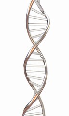 DNA structure model on white