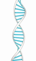 DNA structure model on white