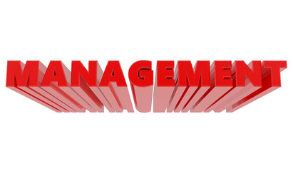 3D MANAGEMENT word on white background