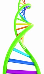 DNA structure model on white