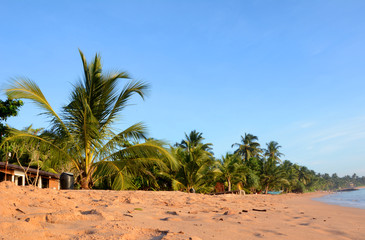 Wild beautiful beaches of Sri Lanka. Boats on the coast.