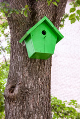 Green birdhouse hanging from a tree