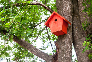 Red birdhouse hanging from a tree