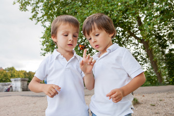 Obraz premium Cute little toddler boys, playing with ladybird outdoor in the p