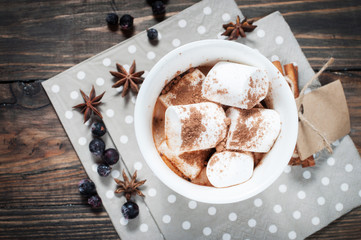 Cocoa drink with marshmallows and cinnamon 