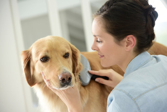Young woman brushing her dog's hair