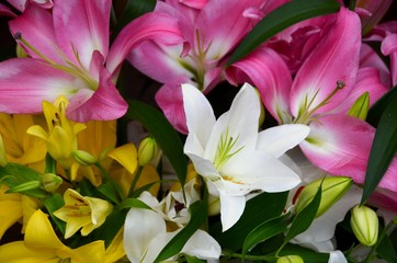  Flower bouquet with lily.
