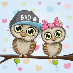 Fototapeta premium Two Cute Owls