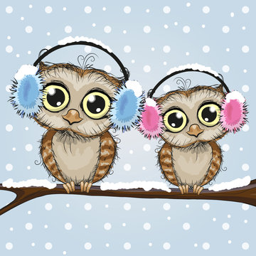 Two Cute Owls