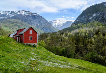 Fototapeta na wymiar Red wooden cottage in the valley. Green grass, white flowers. Stone snowy mountains. Spring. Stalheim, Norway.