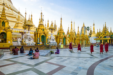 Myanmar, Yangon, religious in prayer and monks in the Swedagon Pagoda. - obrazy, fototapety, plakaty