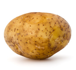 new potato tuber isolated on white background cutout