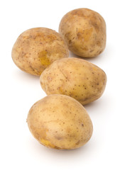 new potato tuber isolated on white background cutout