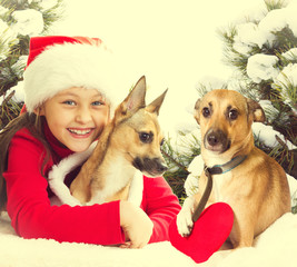 girl in a Santa Claus hat and dog