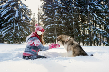 young girl feeds a dog malamute winter